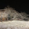 Thumbnail of related posts 107