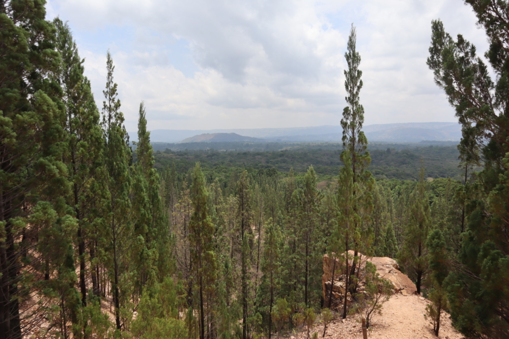 kakamegaforest_viewpoint