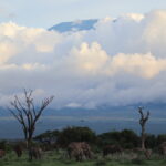アンボセリ国立公園から見えるキリマンジャロ山
