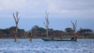 ナイバシャ湖の漁師たち