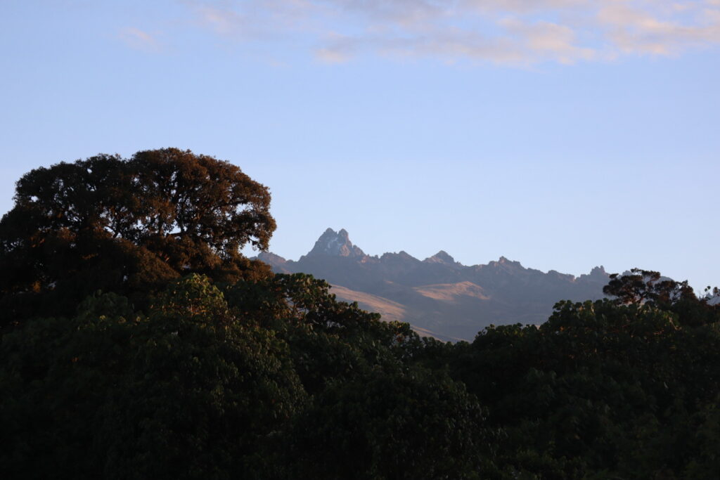 キャッスルフォレストロッジから見えるケニア山