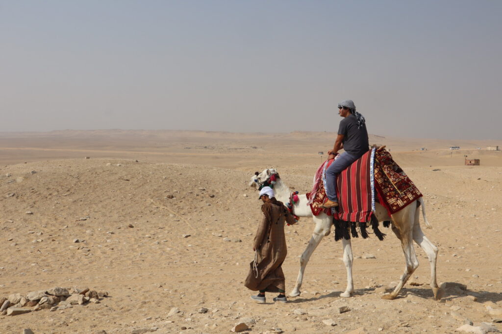 エジプトでのラクダ体験