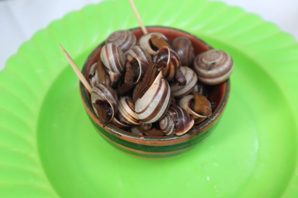 ラバトで食べたエスカルゴ