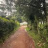 ケニアの道路