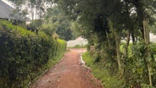 ケニアの道路
