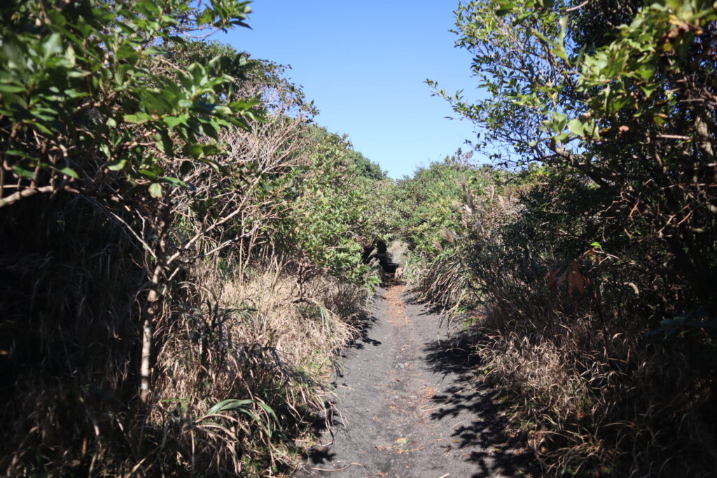 裏砂漠までの登山道