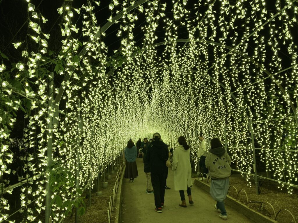 あしかがフラワーパークの夜景