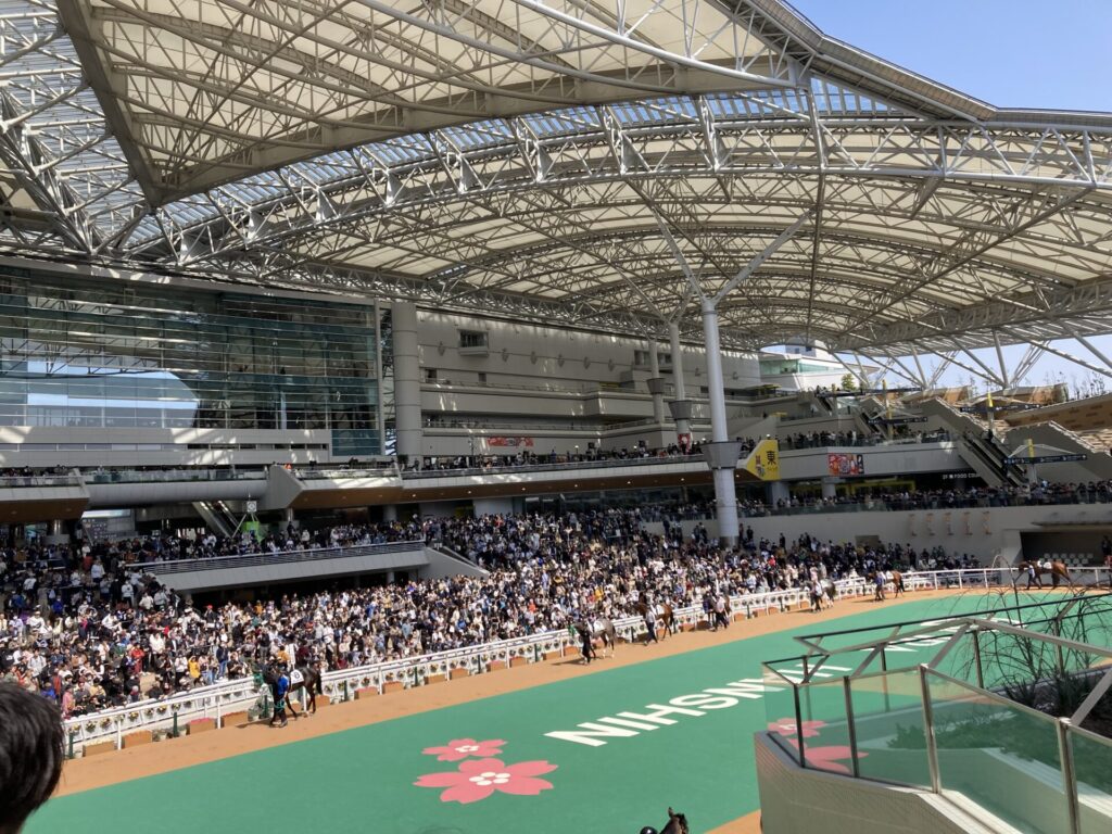 阪神競馬場のパドック