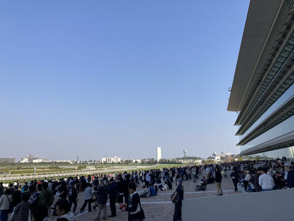 阪神競馬場の場内