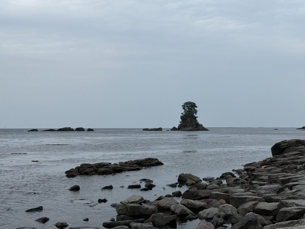 雨晴海岸の景色
