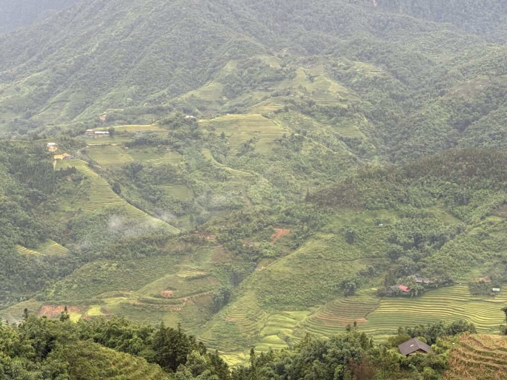 サパの田園風景