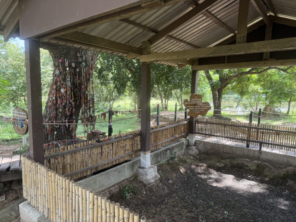 キリングフィールドの墓地