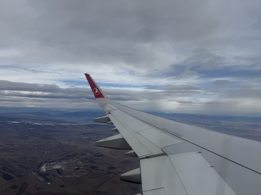 上空からのジョージア